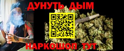 шишки Кингисепп