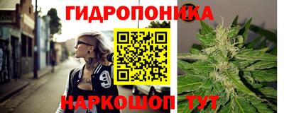 PSILOCYBIN Кимры