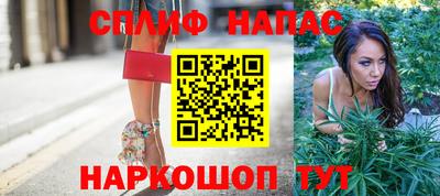 шишки Кингисепп