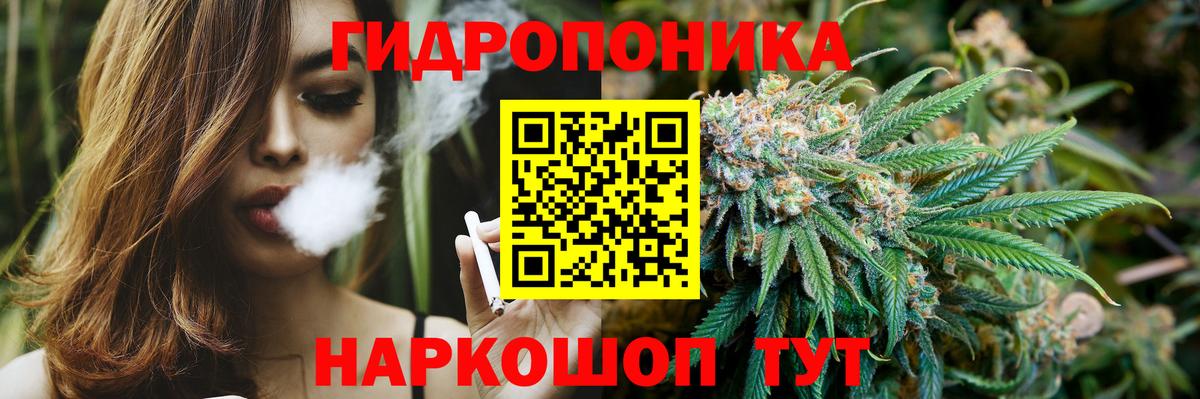 Каннабис гибрид Озёры